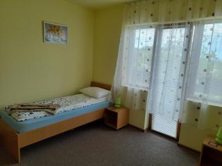 Casa cu flori - Bîrsău - 4