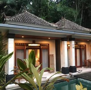 D'bunut Private villa ubud - Ubud - 1