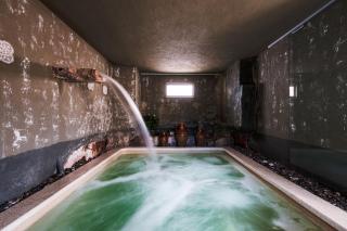 HelloApulia - Authentic Trulli Petricore with private SPA and pool - Monopoli - 1