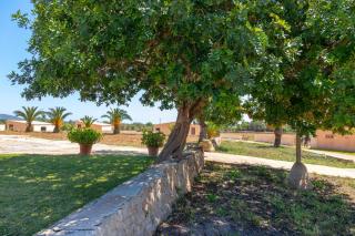 Finca Salom Verd - Es Llombards - 3