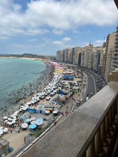 شقق بانوراما شاطئ الأسكندرية كود 2 - Alexandrie - 8