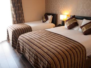 George Limerick Hotel - Limerick - 5