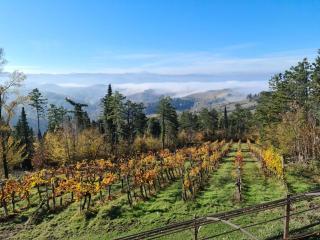 B&B Guardastelle - Monte San Pietro - 1