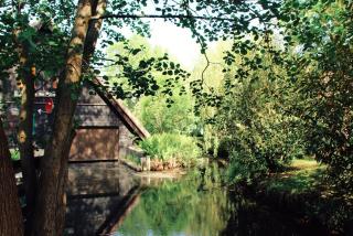 Landgasthof Zur Wildbahn - Burg - 2
