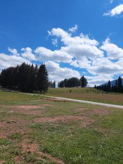 Šumski raj - Žabljak - 5