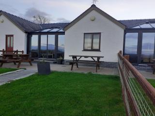 The Calf Suite - Aberystwyth - 7