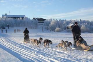 Venabu Fjellhotell - Venabygd - 6