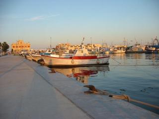 Apartamentoen la playa, 200 Mts de la playa Nuevo - Santa Pola - 8