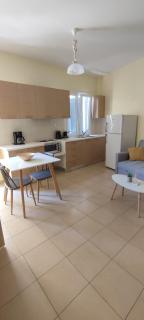 Nicol's apartment - Ermoupoli - 7