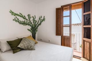 Town house with roof terrace and plunge pool - Alcaucín - 4