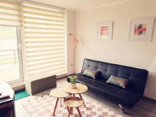 Pucón, Acogedor departamento, cómodo e iluminado - 3