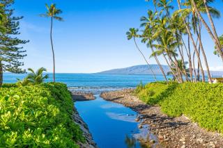 Puamana 30-2 - Lahaina - 3