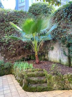 Trastevere Oasi Garden Apartment - Roma - Rome - 5