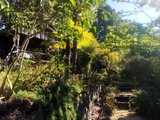 Les Jardins d'Arbousse - Saint-Jean-du-Gard - 3