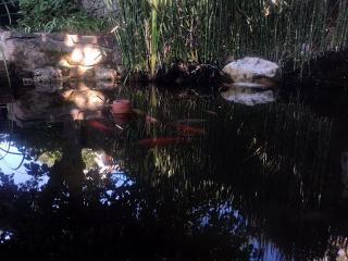 Les Jardins d'Arbousse - Saint-Jean-du-Gard - 1