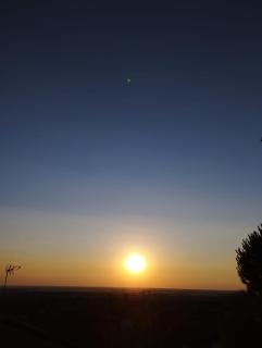 LOS PRUNOS - 8