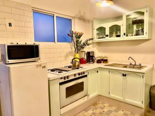 Amazing Cozy Apartment in Condesa - Città del Messico - 3