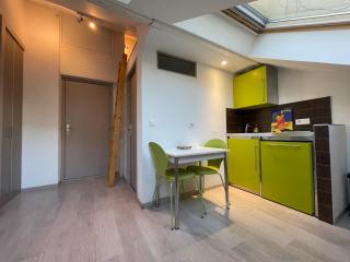 Studio sous les toits Annecy Centre-Ville - Annecy - 3