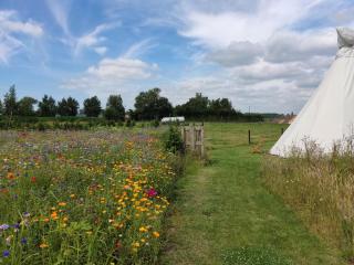 Landgoed Omorika - Ravels - 4