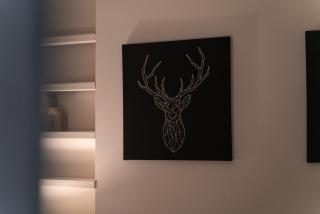 Stunning 1Bd with Castle View - 6