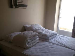 Gîte tout confort près du circuit des 24 Heures, cadre verdoyant, étang clos, 6 pers., lits faits - FR-1-410-207 - Moncé-en-Belin - 1