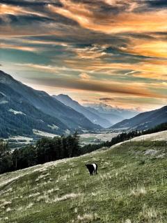 Naturlodge Gadestatt - 5