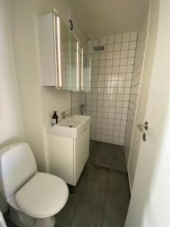 Central Copenhagen Apt with Balcony, Free Parking & Elevator - Copenaghen - 7