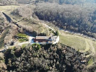 Bosco Romagno - Cividale del Friuli - 2