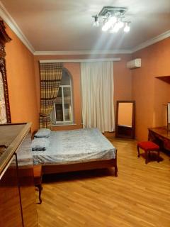Nice pretty apartment in nizami street - Baku - 0