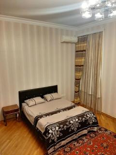 Nice pretty apartment in nizami street - Baku - 7
