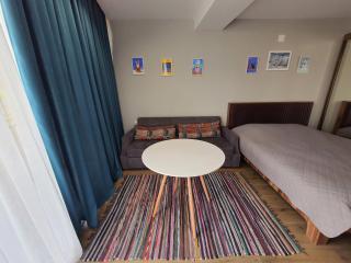 Perfect studio near Didveli ski area - Bakuriani - 8