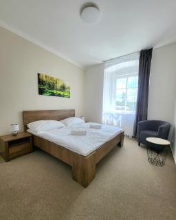 Apartmány hotelu Ostrý - Železná Ruda - 9