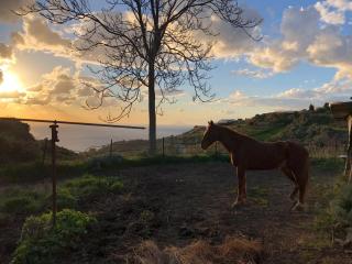 agriturismo u zu peppino - Lipari - 7