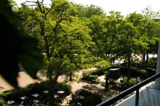 Treetop Apartment - Haia - 8