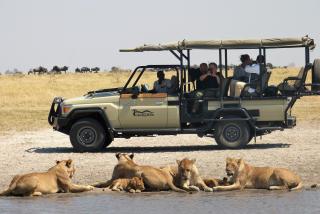Ghoha Hills Savuti Lodge - Savuti - 8