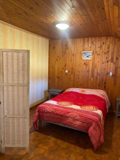 Les Genêts du Sancy - 5