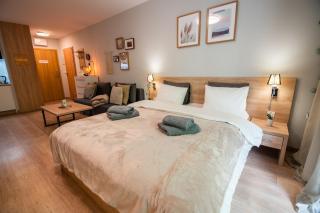 Apartament Green View Szklarska Poręba - Szklarska Poręba - 7