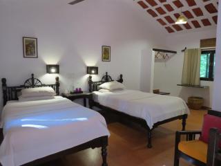 Kanha Jungle Lodge - 4