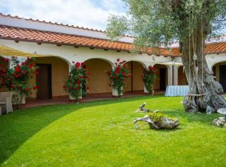 Tenuta Amalthea - Sessa Aurunca - 2