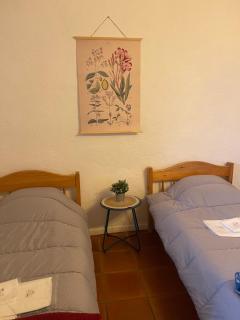 Gîte XL Familles et groupes Duilhac sous Peyrepertuse - 4