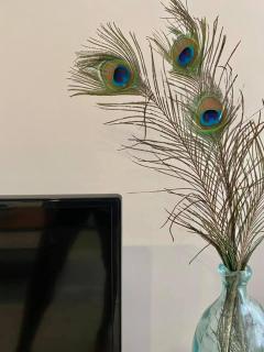 Happy you na Rocha 2 - 2