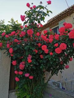 Dépendance cosy entre jardin et jacuzzi privés et piscine partagée - Aubagne - 8