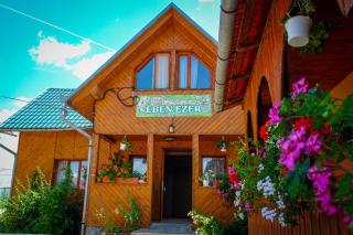 Cheerful 5-bedroom house close to Baile Felix 19km - Oradea - 9