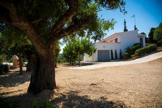 La Casa del Monte - Les Cases d'Alcanar - 0