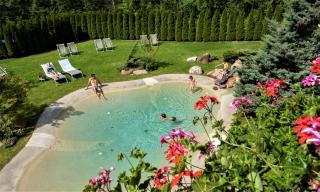 Rio Stava Family Resort & Spa - Tesero - 9