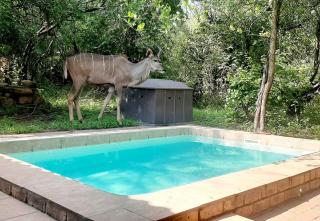 Nature House - Marloth Park - 5