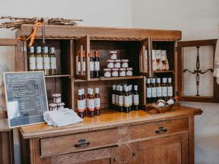 Wein & Wohngut Paulushof - Pünderich - 4