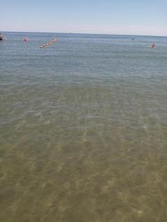 Apartament Dalexa - Mamaia Nord - Năvodari - 8