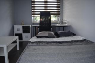 Apartment City Center - FREE PARKING - easy check-in - Chorzów - 3