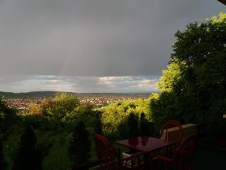 B&B Vila Vidikovac - Aranđelovac - 4